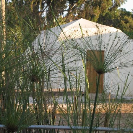 Yarok Az - Ecolodge Farm Ilaniya Chambre photo