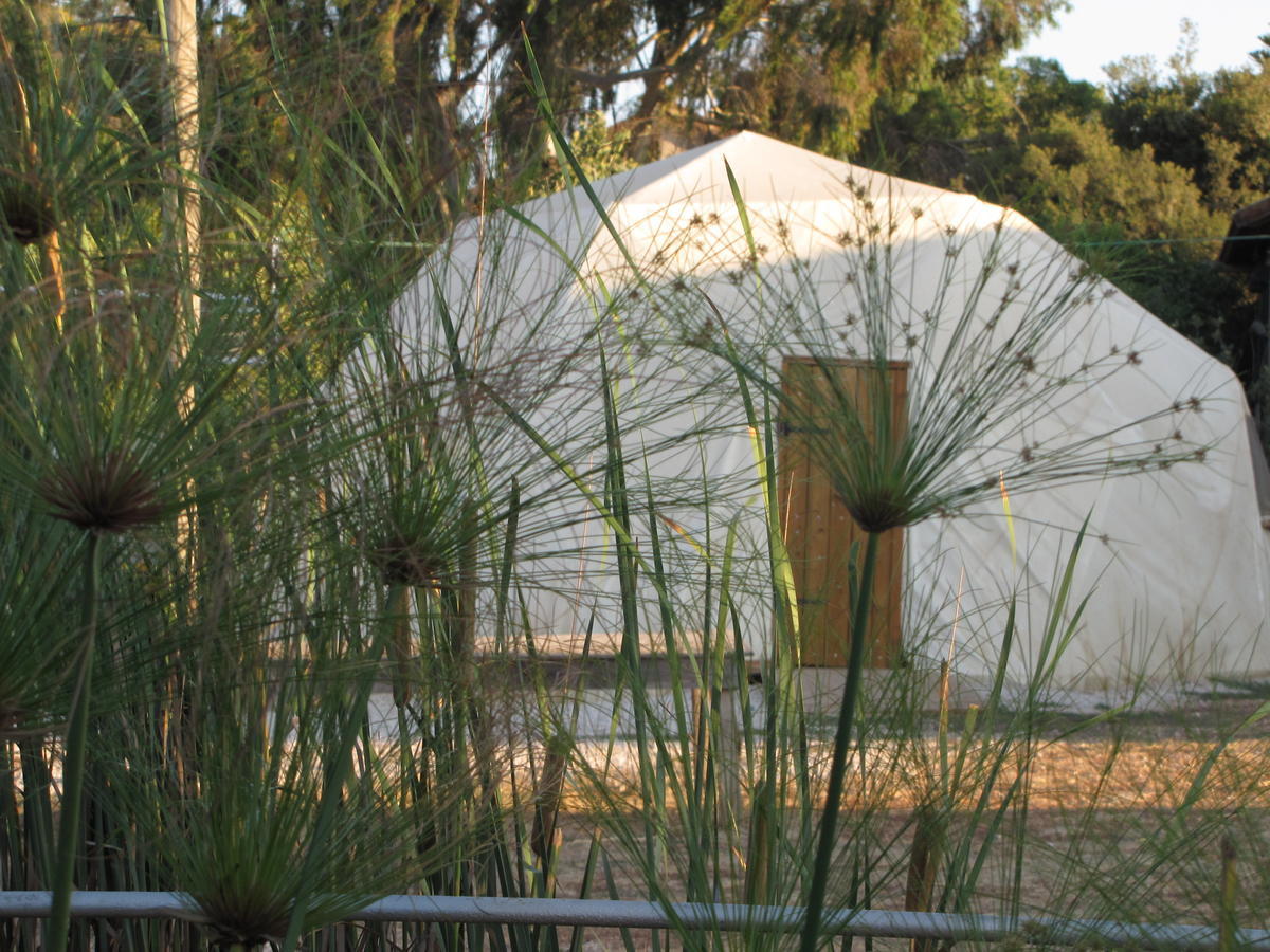 Yarok Az - Ecolodge Farm Ilaniya Chambre photo