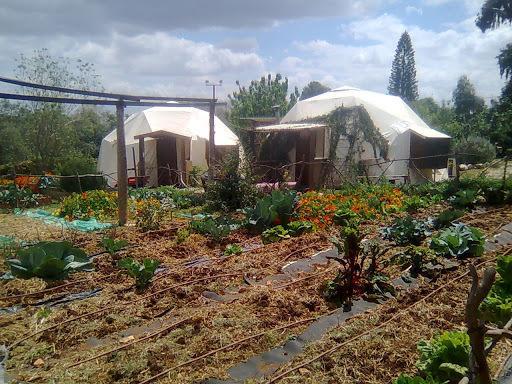 Yarok Az - Ecolodge Farm Ilaniya Extérieur photo